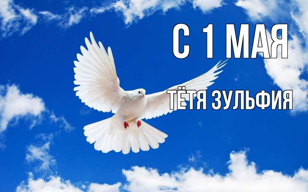 Открытка на каждый день с именем, Тётя-Зульфия С 1 мая С 1 мая 1 Прикольная открытка с пожеланием онлайн скачать бесплатно 