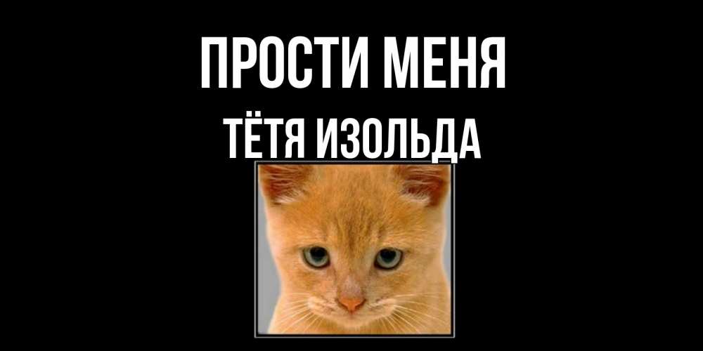 Открытка на каждый день с именем, Тётя-Изольда Прости меня рыжий грустный кот просит прощения Прикольная открытка с пожеланием онлайн скачать бесплатно 