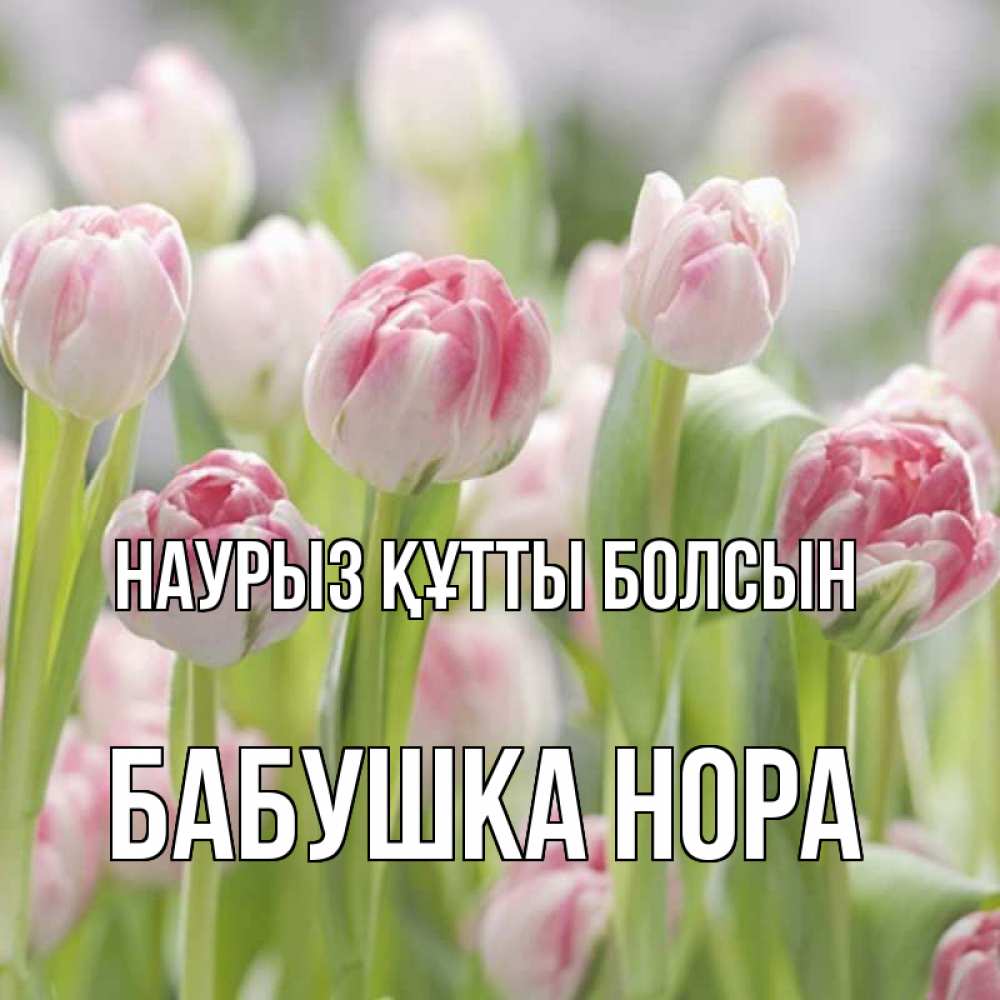 Открытка на каждый день с именем, Бабушка-Нора Наурыз құтты болсын цветы Прикольная открытка с пожеланием онлайн скачать бесплатно 