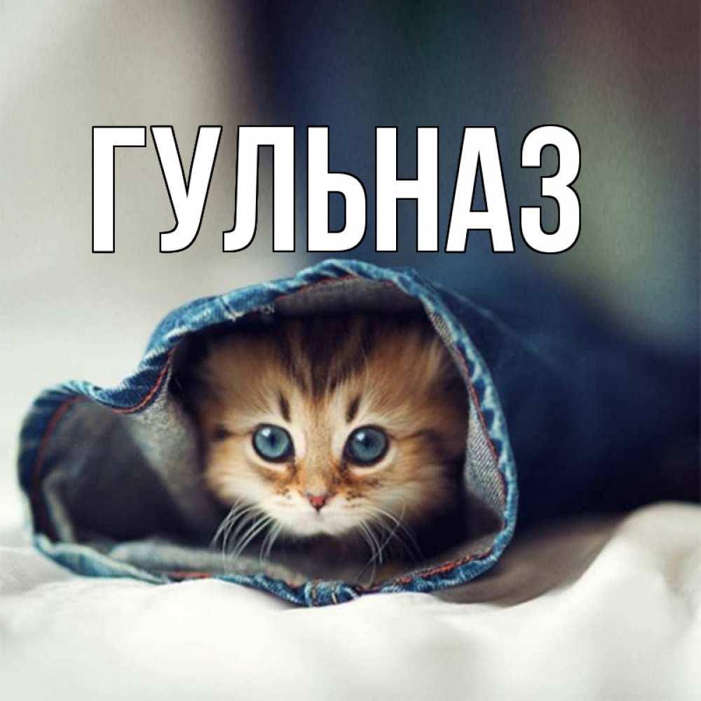 Картинка  с именем , Гульназ