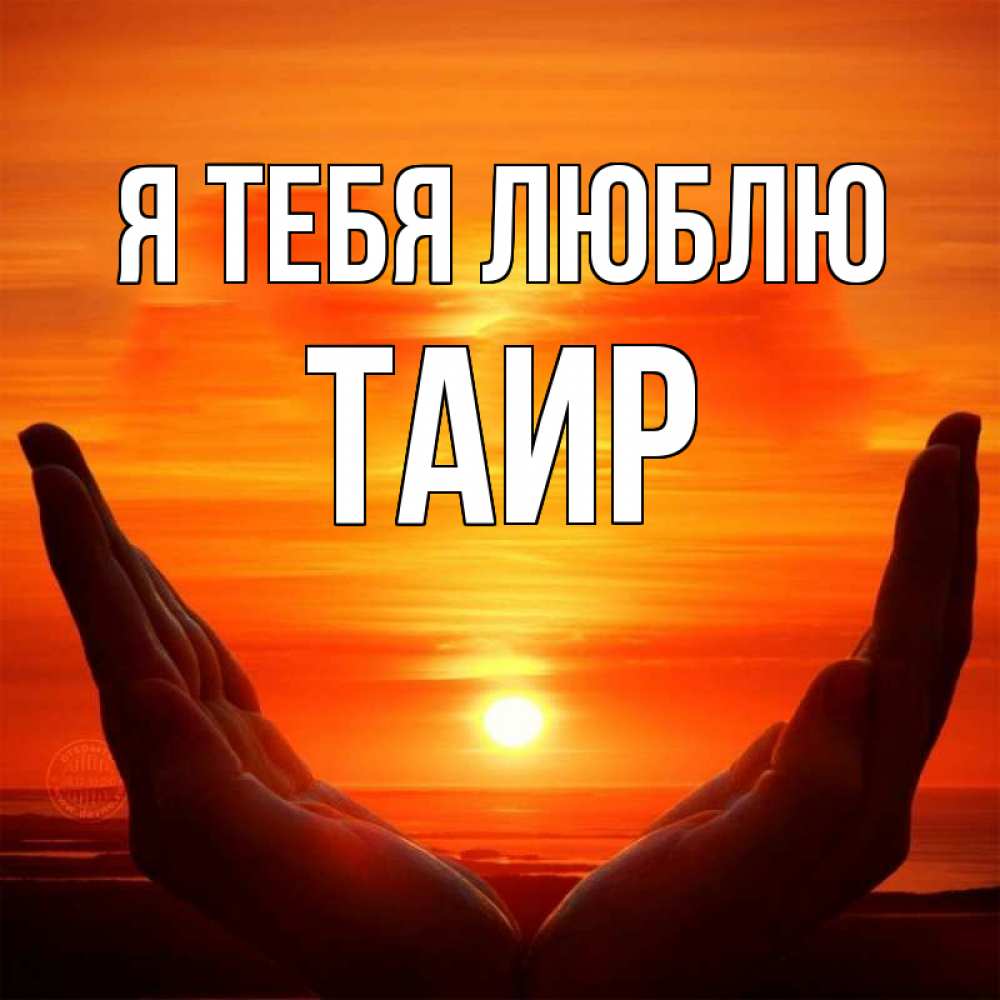 Картинка Я тебя люблю, Таир