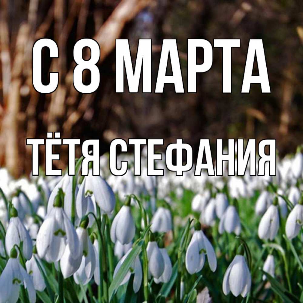 Открытка на каждый день с именем, Тётя-Стефания С 8 МАРТА с подснежниками 1 Прикольная открытка с пожеланием онлайн скачать бесплатно 