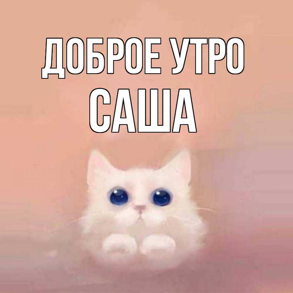 пилотная красивые картинки доброе утро саша этом рецепте