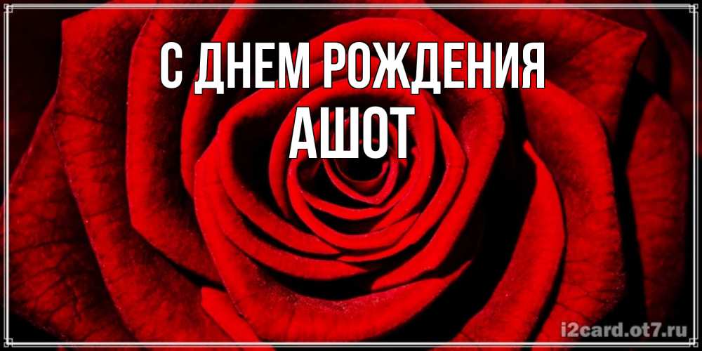 Открытка на каждый день с именем, Ашот С днем рождения алая роза Прикольная открытка с пожеланием онлайн скачать бесплатно 