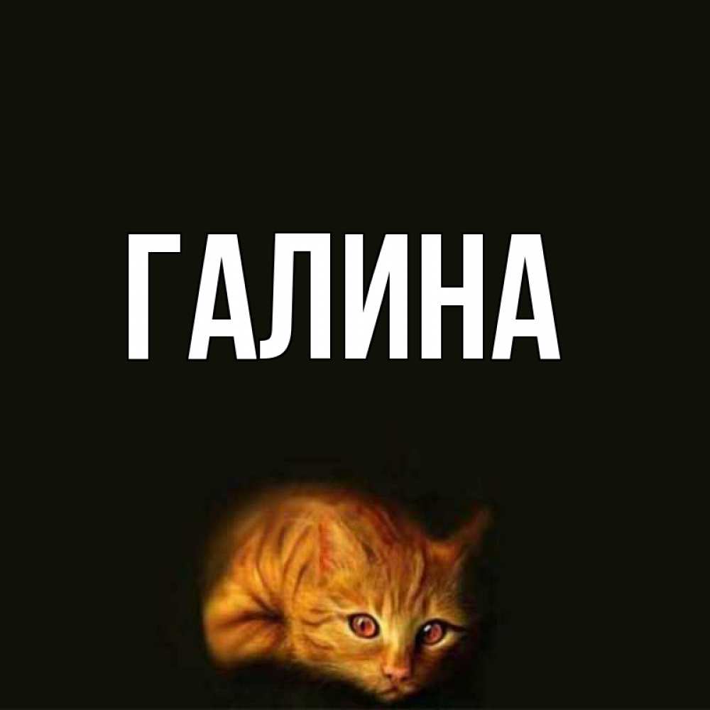 Открытка на каждый день с именем, Галина Главная рыжий Прикольная открытка с пожеланием онлайн скачать бесплатно 