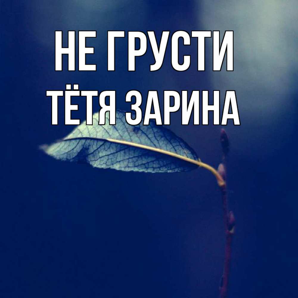 Открытка на каждый день с именем, Тётя-Зарина Не грусти растение Прикольная открытка с пожеланием онлайн скачать бесплатно 
