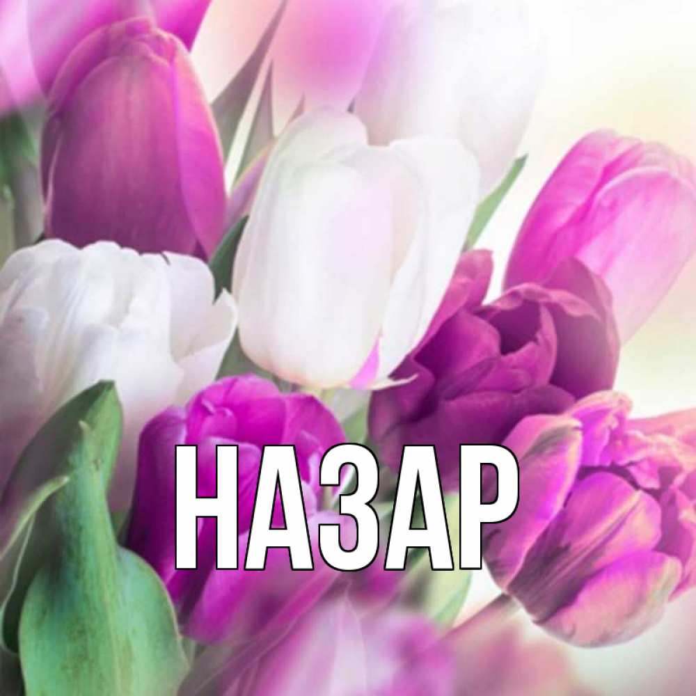 Открытка на каждый день с именем, Назар Главная весна 1 Прикольная открытка с пожеланием онлайн скачать бесплатно 