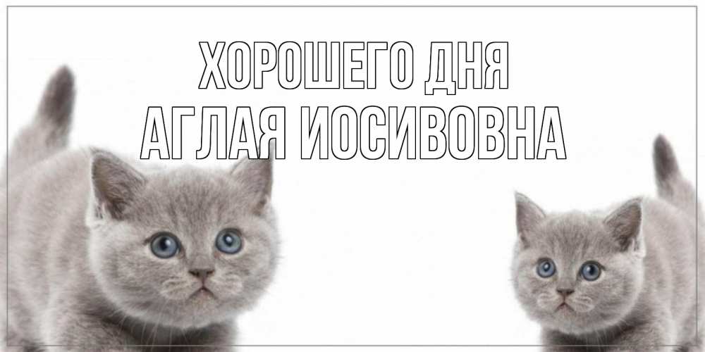 Открытка на каждый день с именем, Аглая-Иосивовна Хорошего дня открытка с котами Прикольная открытка с пожеланием онлайн скачать бесплатно 