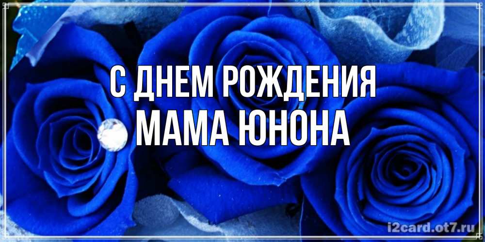 Открытка на каждый день с именем, Мама-Юнона С днем рождения синие розы в росе Прикольная открытка с пожеланием онлайн скачать бесплатно 