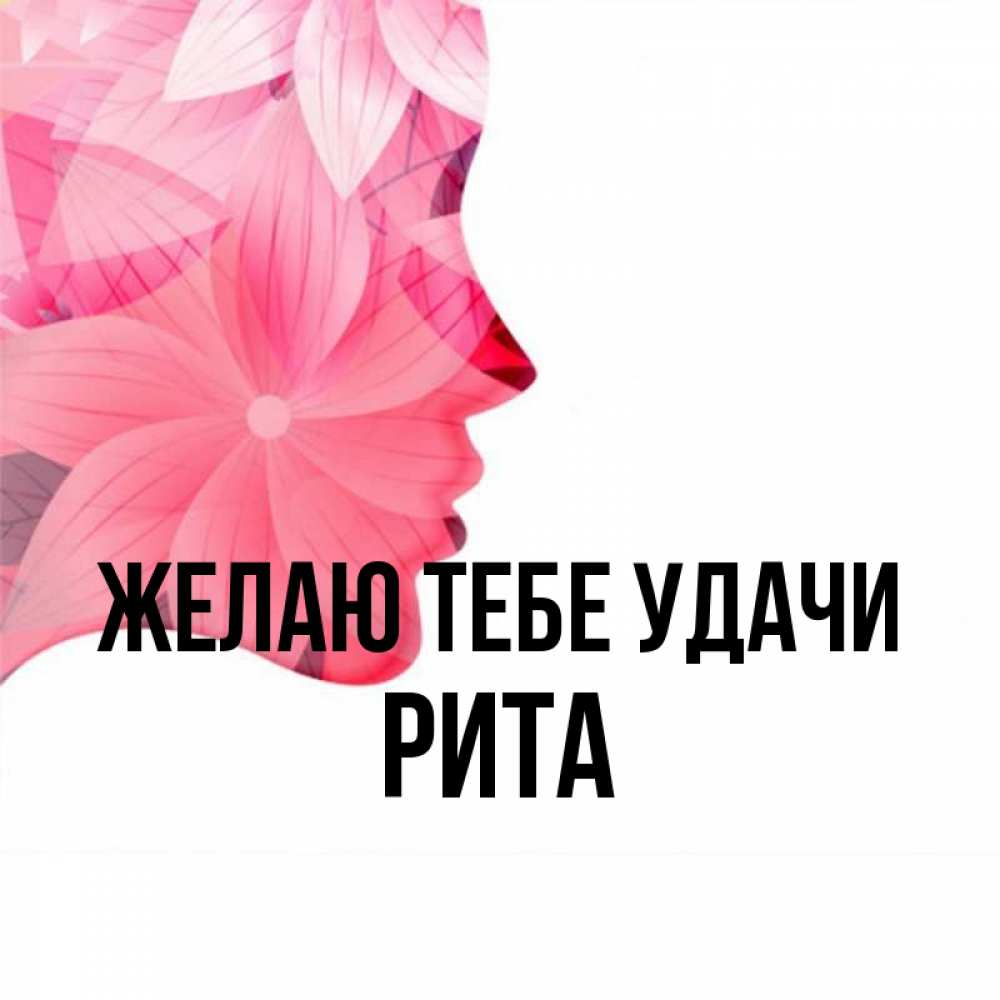 Картинки привет рита