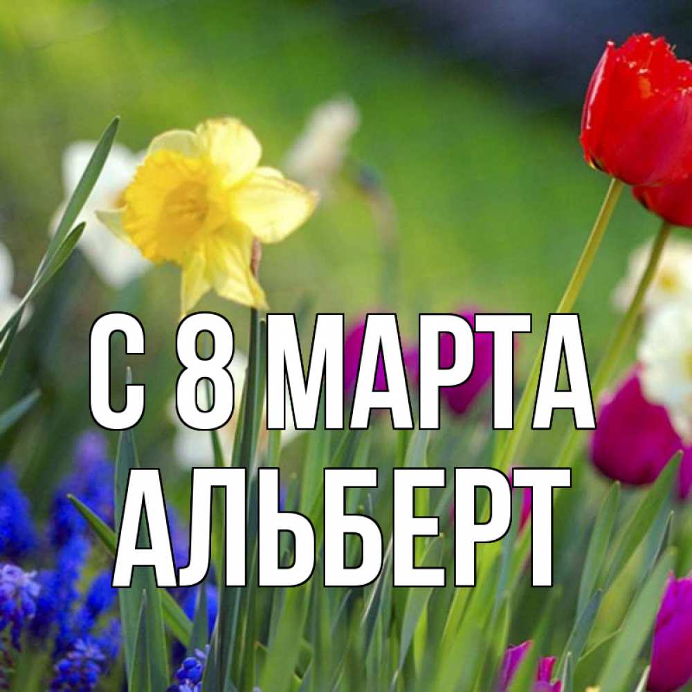 Открытка на каждый день с именем, Альберт С 8 МАРТА международный женский день 3 Прикольная открытка с пожеланием онлайн скачать бесплатно 