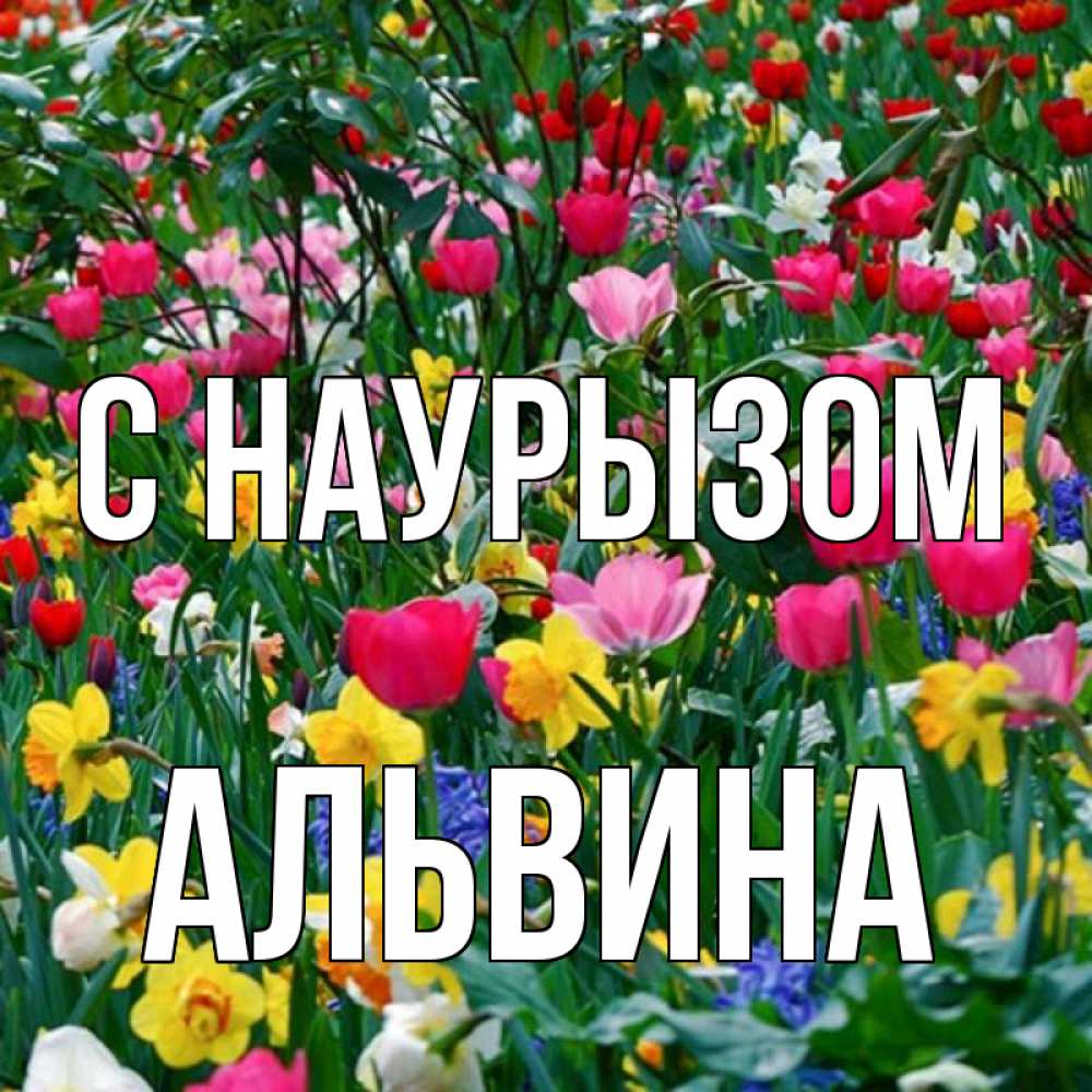 Открытка на каждый день с именем, Альвина С наурызом с наурызом праздником весны поздравления для женщины Прикольная открытка с пожеланием онлайн скачать бесплатно 