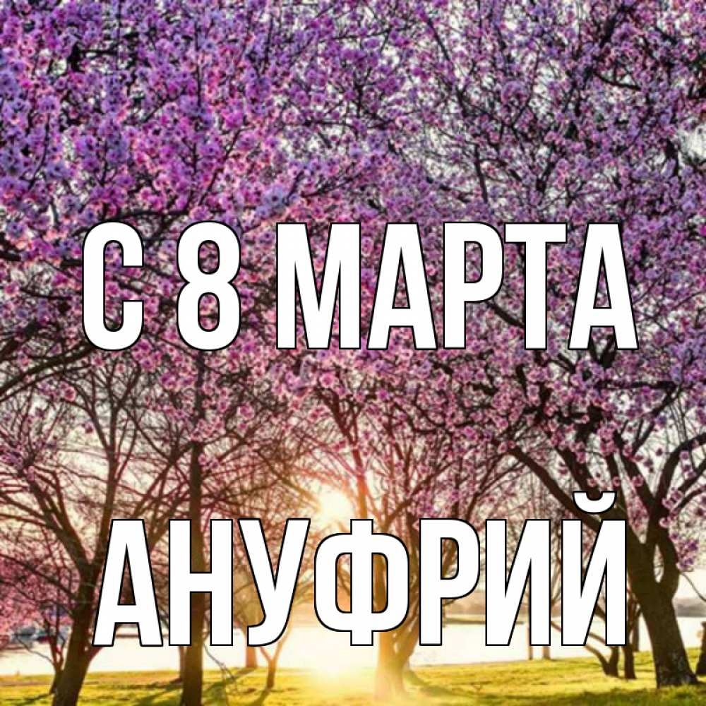 Открытка на каждый день с именем, Ануфрий С 8 МАРТА международный женский день Прикольная открытка с пожеланием онлайн скачать бесплатно 