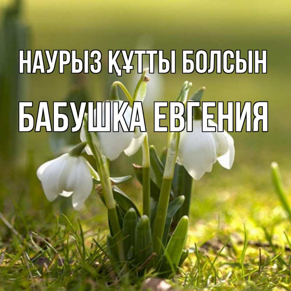 Открытка на каждый день с именем, Бабушка-Евгения Наурыз құтты болсын ранние цветы 2 Прикольная открытка с пожеланием онлайн скачать бесплатно 