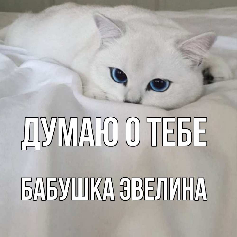 Открытка на каждый день с именем, Бабушка-Эвелина Думаю о тебе я очень по тебе скучаю и тоскую Прикольная открытка с пожеланием онлайн скачать бесплатно 