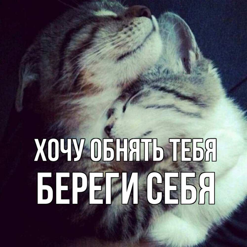 Открытка на каждый день с именем, Береги-себя Хочу обнять тебя полосатики Прикольная открытка с пожеланием онлайн скачать бесплатно 