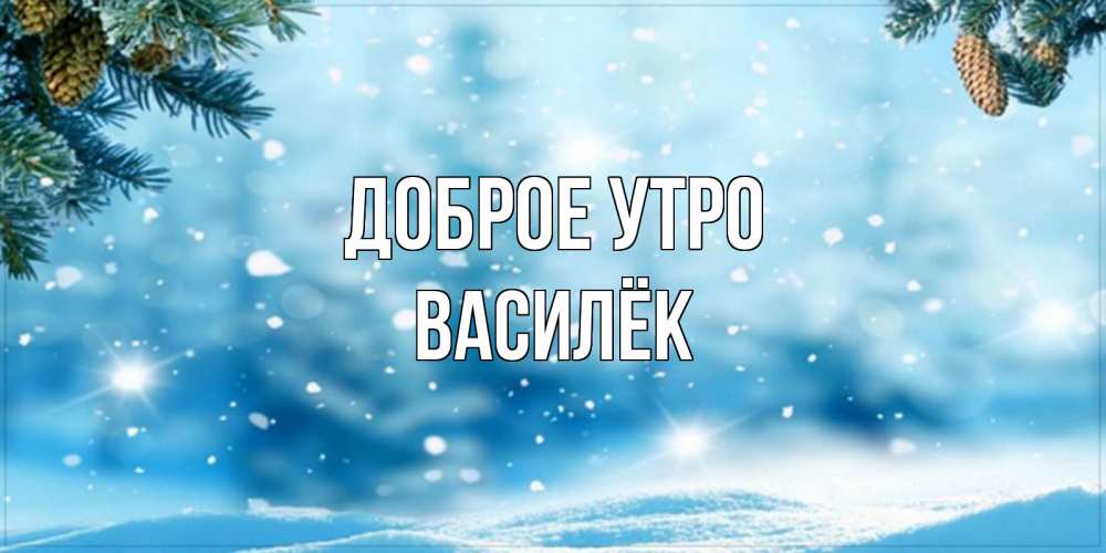 Открытка на каждый день с именем, Василёк Доброе утро зимнее доброе утро Прикольная открытка с пожеланием онлайн скачать бесплатно 