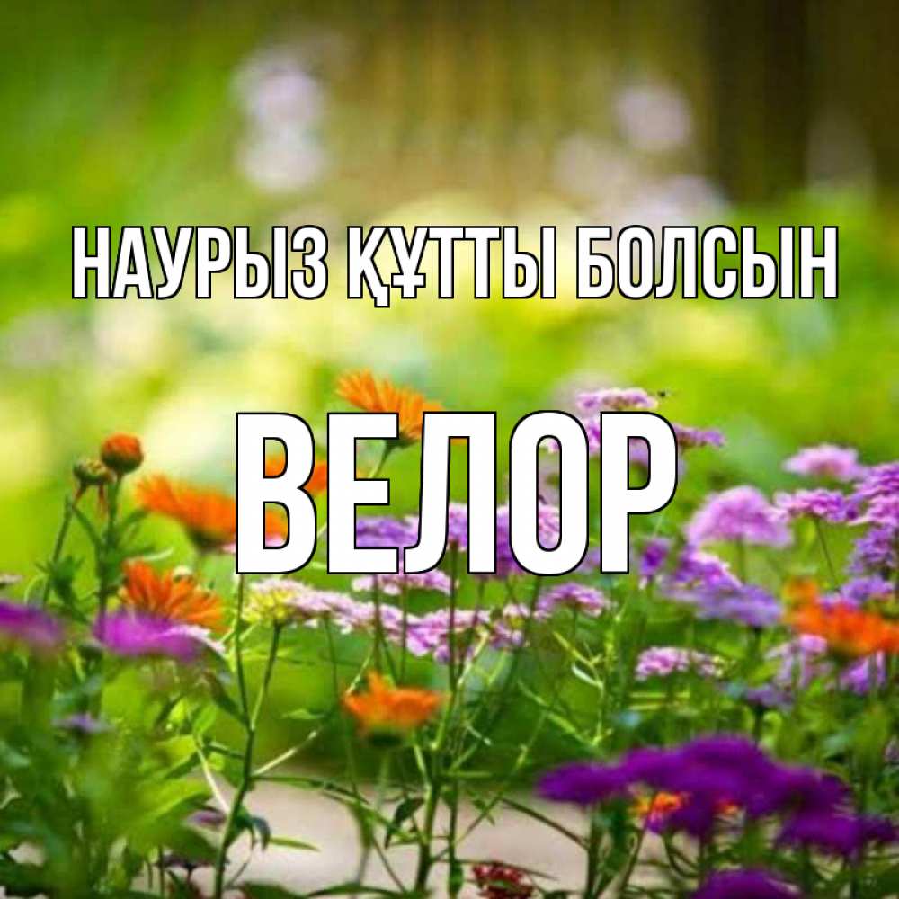 Открытка на каждый день с именем, Велор Наурыз құтты болсын цветы Прикольная открытка с пожеланием онлайн скачать бесплатно 