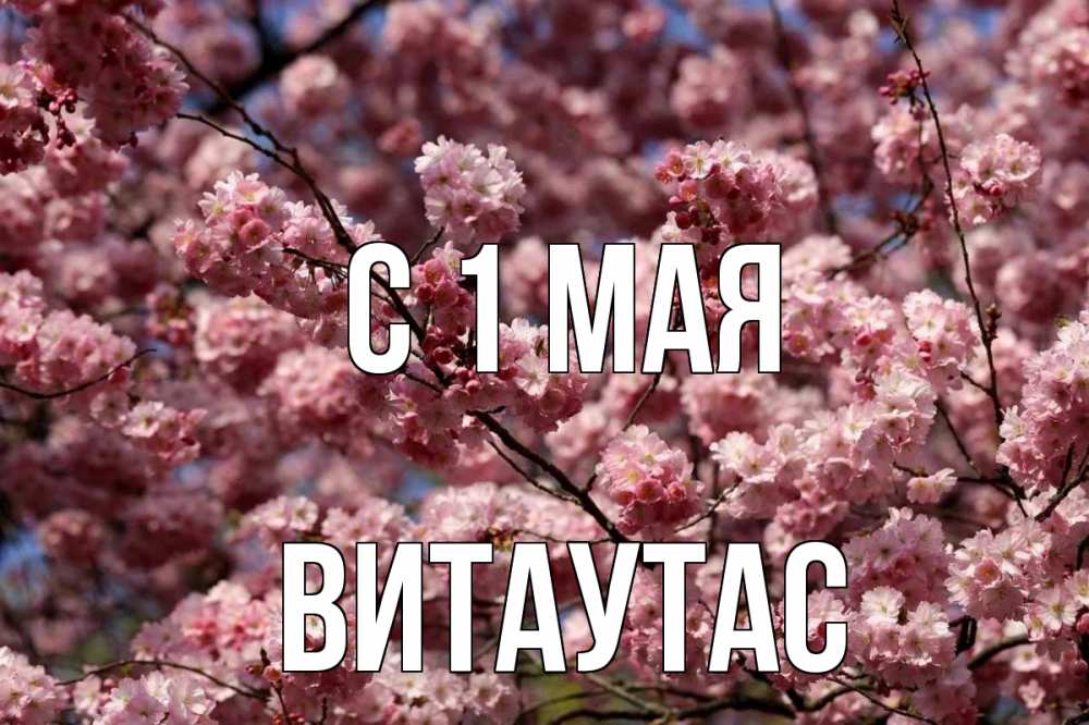 Открытка на каждый день с именем, Витаутас С 1 мая С 1 мая Прикольная открытка с пожеланием онлайн скачать бесплатно 
