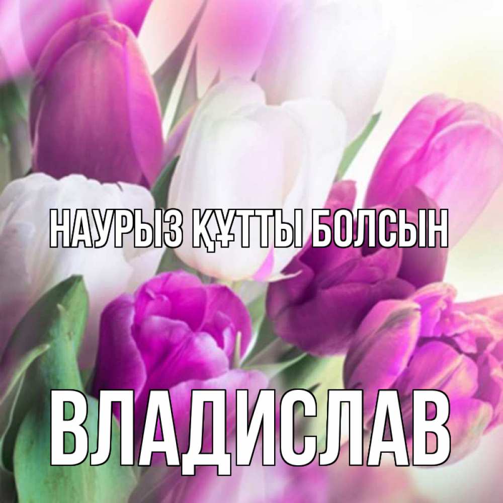 Открытка на каждый день с именем, Владислав Наурыз құтты болсын весна 1 Прикольная открытка с пожеланием онлайн скачать бесплатно 