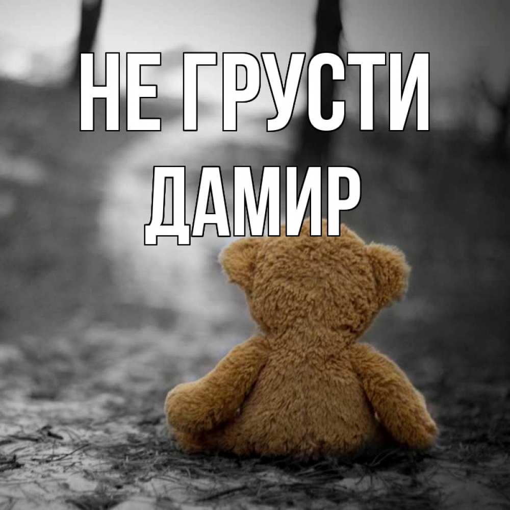 Открытка на каждый день с именем, Дамир Не грусти медведь со спин Прикольная открытка с пожеланием онлайн скачать бесплатно 