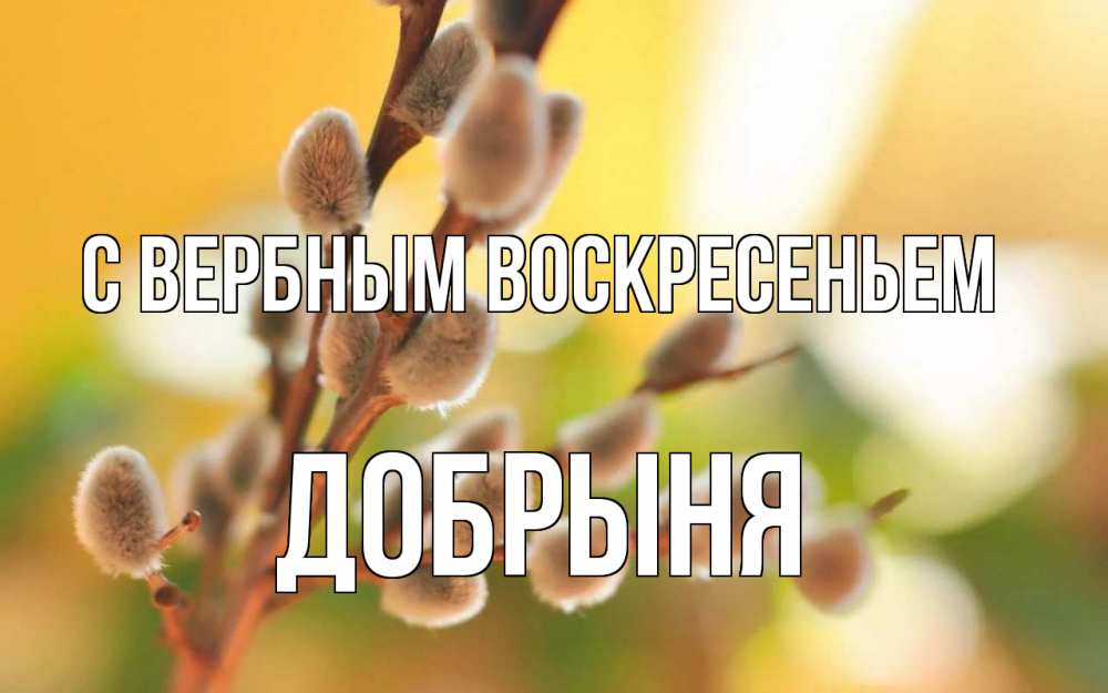 Открытка на каждый день с именем, Добрыня С вербным воскресеньем верба Прикольная открытка с пожеланием онлайн скачать бесплатно 