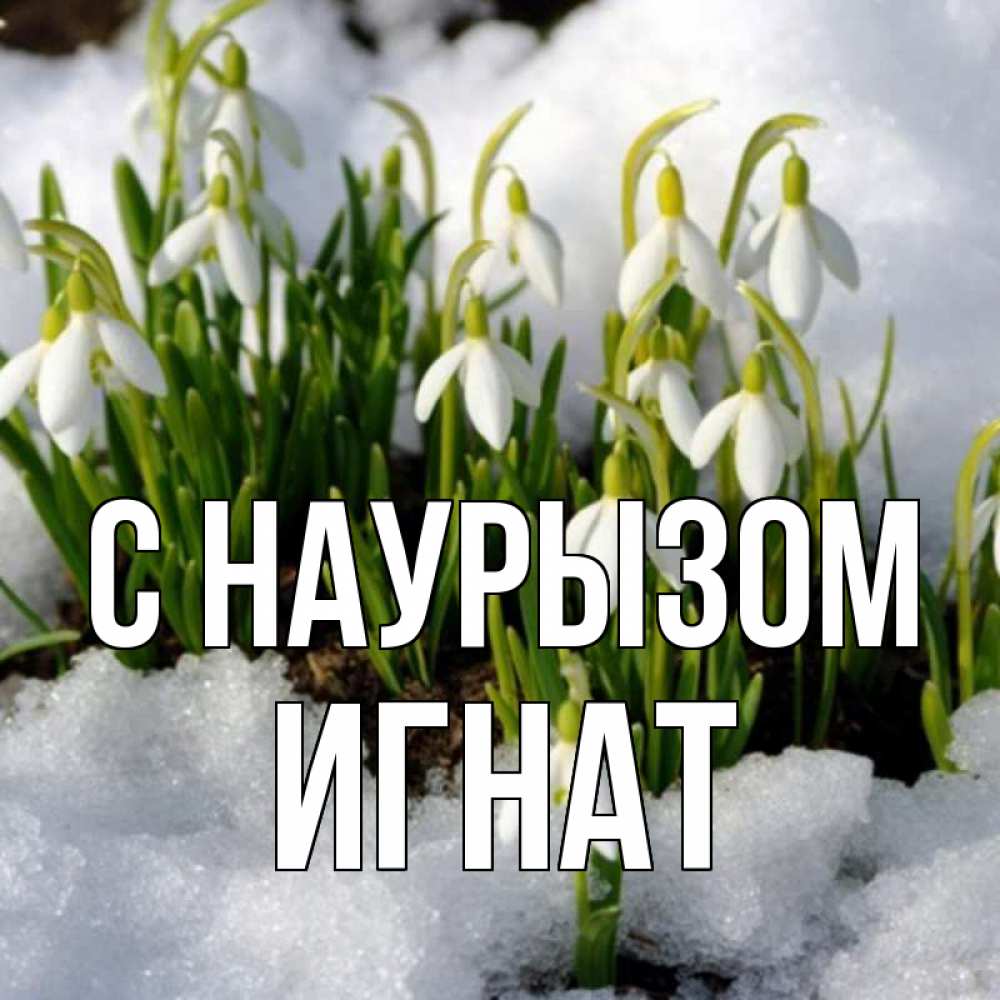 Открытка на каждый день с именем, Игнат С наурызом цветы весенние Прикольная открытка с пожеланием онлайн скачать бесплатно 
