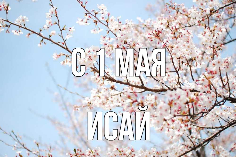 Открытка на каждый день с именем, Исай С 1 мая С 1 мая Прикольная открытка с пожеланием онлайн скачать бесплатно 