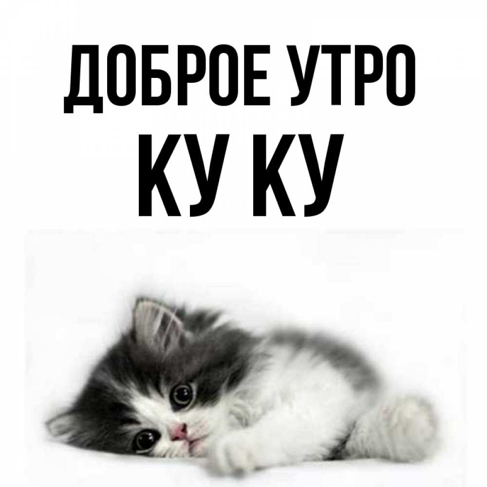Открытка на каждый день с именем, Ку-ку Доброе утро кот лапки Прикольная открытка с пожеланием онлайн скачать бесплатно 