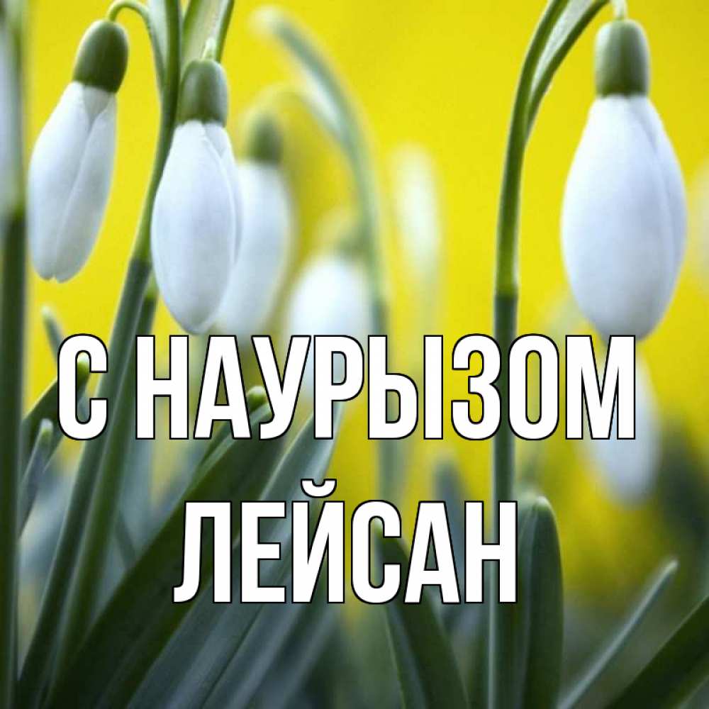 Открытка на каждый день с именем, Лейсан С наурызом весенние цветы Прикольная открытка с пожеланием онлайн скачать бесплатно 