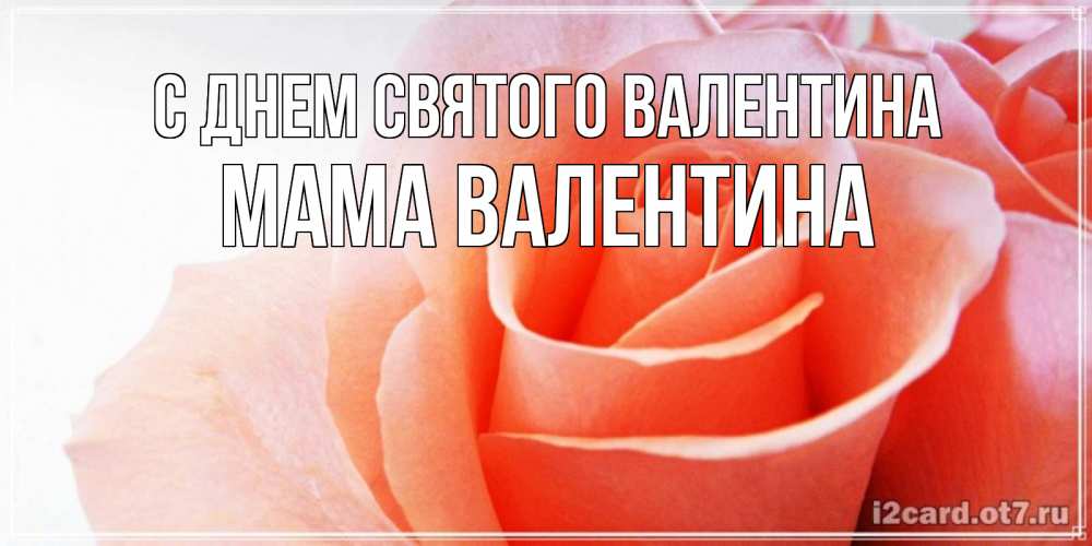 Открытка на каждый день с именем, Мама-Валентина С днем Святого Валентина открытка на день Святого Валентина с розовой розой Прикольная открытка с пожеланием онлайн скачать бесплатно 