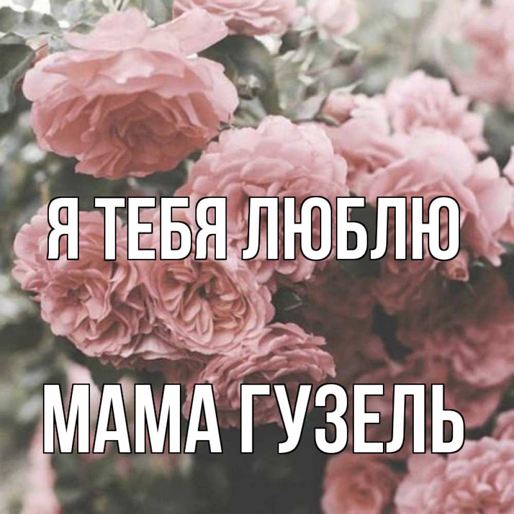Открытка на каждый день с именем, Мама-Гузель Я тебя люблю розы 3 Прикольная открытка с пожеланием онлайн скачать бесплатно 