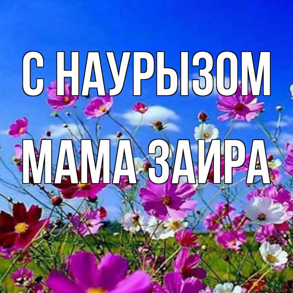 Открытка на каждый день с именем, Мама-Заира С наурызом цветы Прикольная открытка с пожеланием онлайн скачать бесплатно 