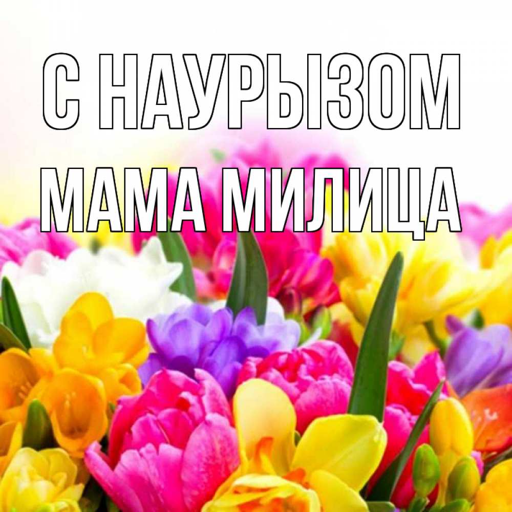 Открытка на каждый день с именем, Мама-Милица С наурызом тюльпаны Прикольная открытка с пожеланием онлайн скачать бесплатно 