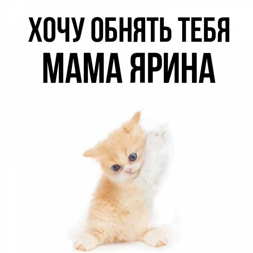 Открытка на каждый день с именем, Мама-Ярина Хочу обнять тебя я хочу очень скорее обнимаешек Прикольная открытка с пожеланием онлайн скачать бесплатно 