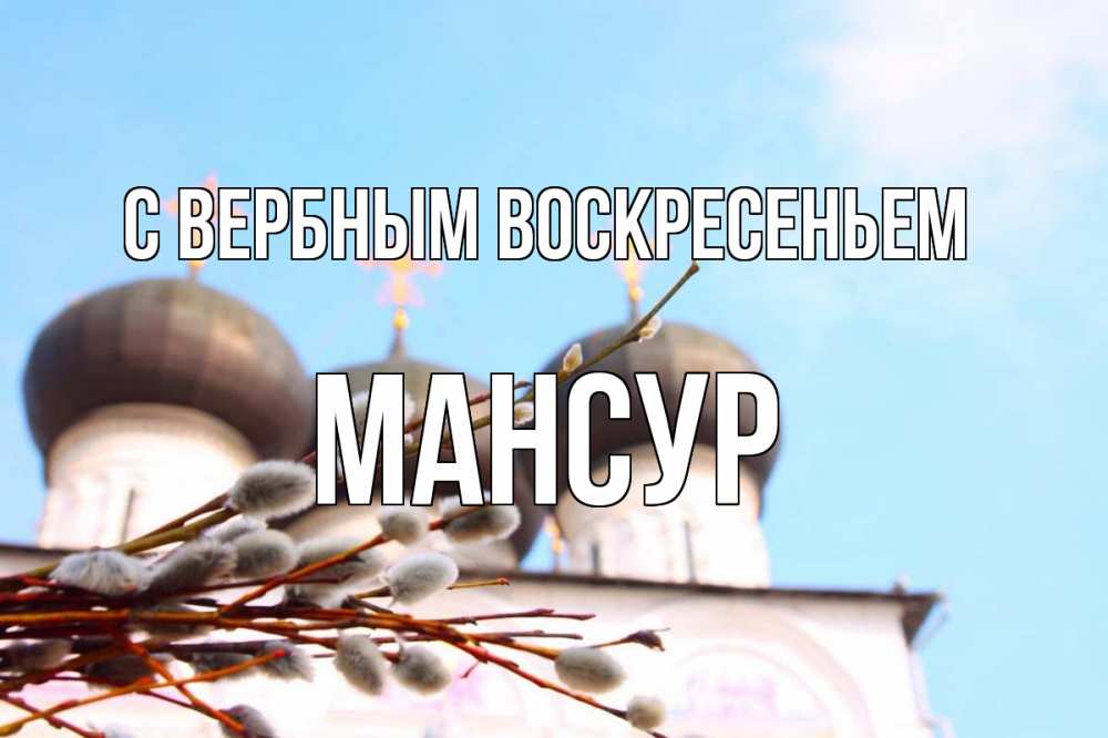 Открытка на каждый день с именем, Мансур С вербным воскресеньем верба Прикольная открытка с пожеланием онлайн скачать бесплатно 