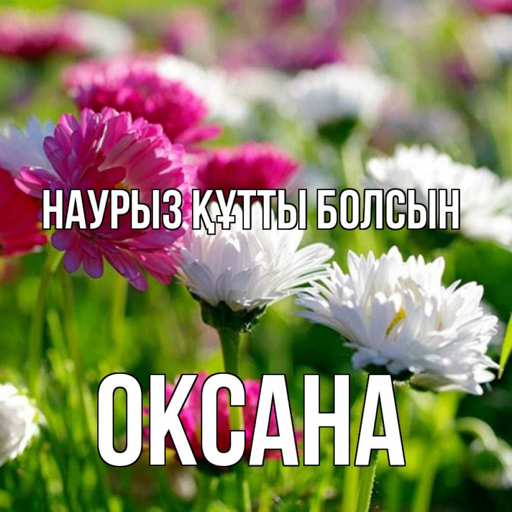 Открытка на каждый день с именем, Оксана Наурыз құтты болсын наурыз Прикольная открытка с пожеланием онлайн скачать бесплатно 