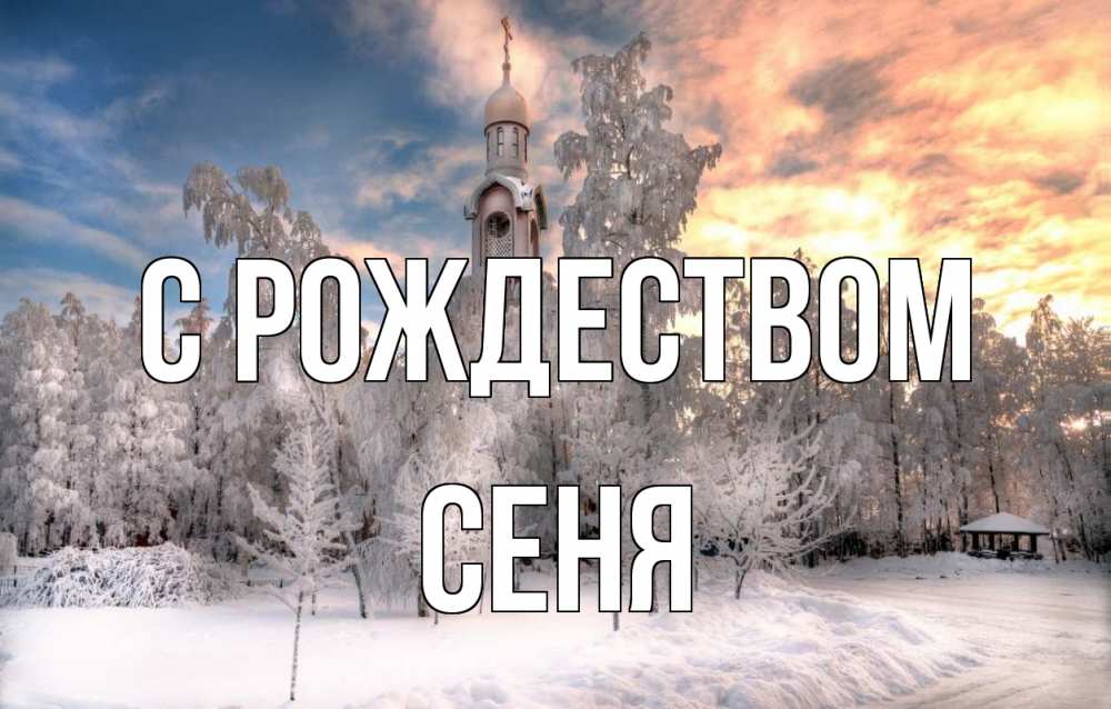 Открытка на каждый день с именем, Сеня С рождеством лес, зима 2 Прикольная открытка с пожеланием онлайн скачать бесплатно 
