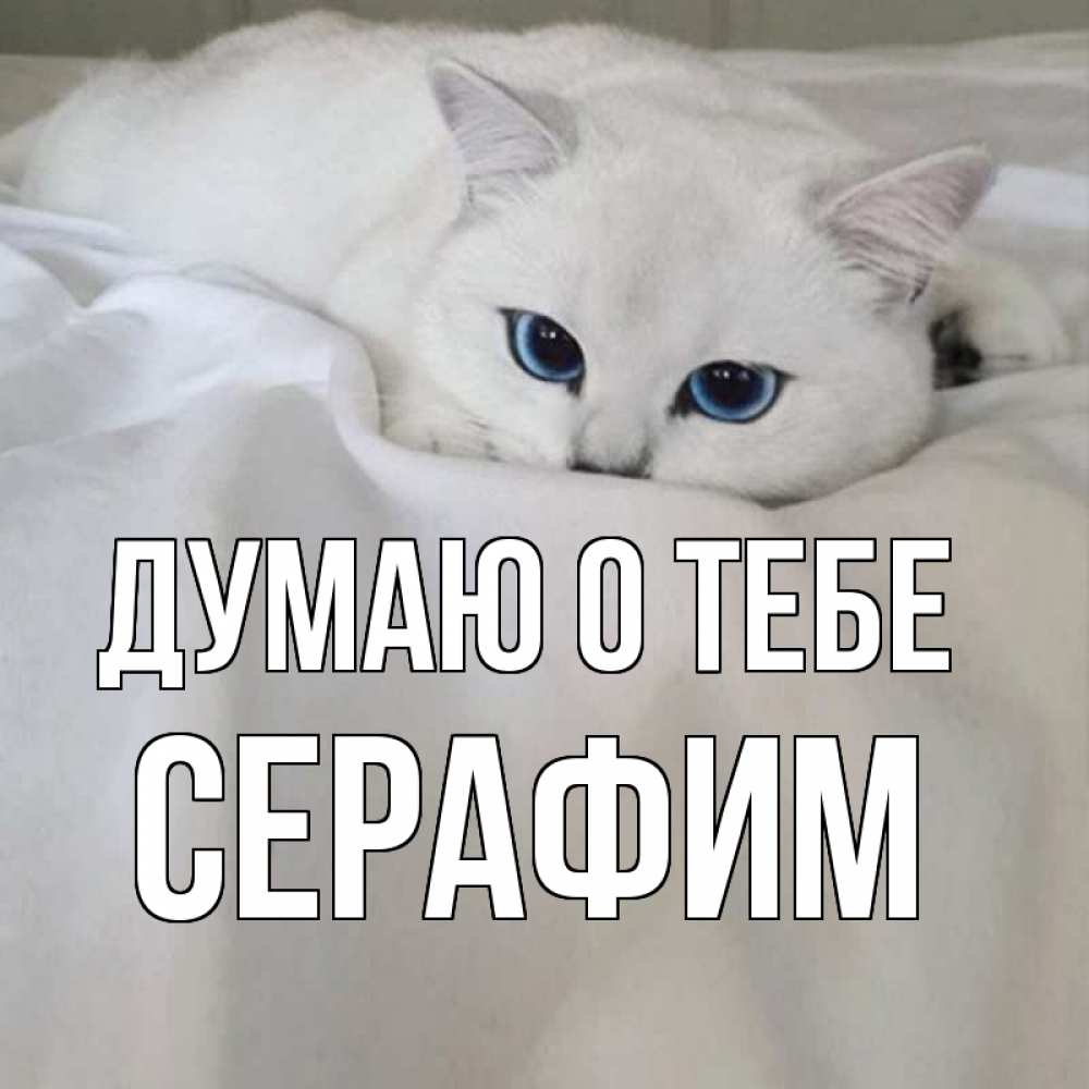 Открытка на каждый день с именем, Серафим Думаю о тебе я очень по тебе скучаю и тоскую Прикольная открытка с пожеланием онлайн скачать бесплатно 