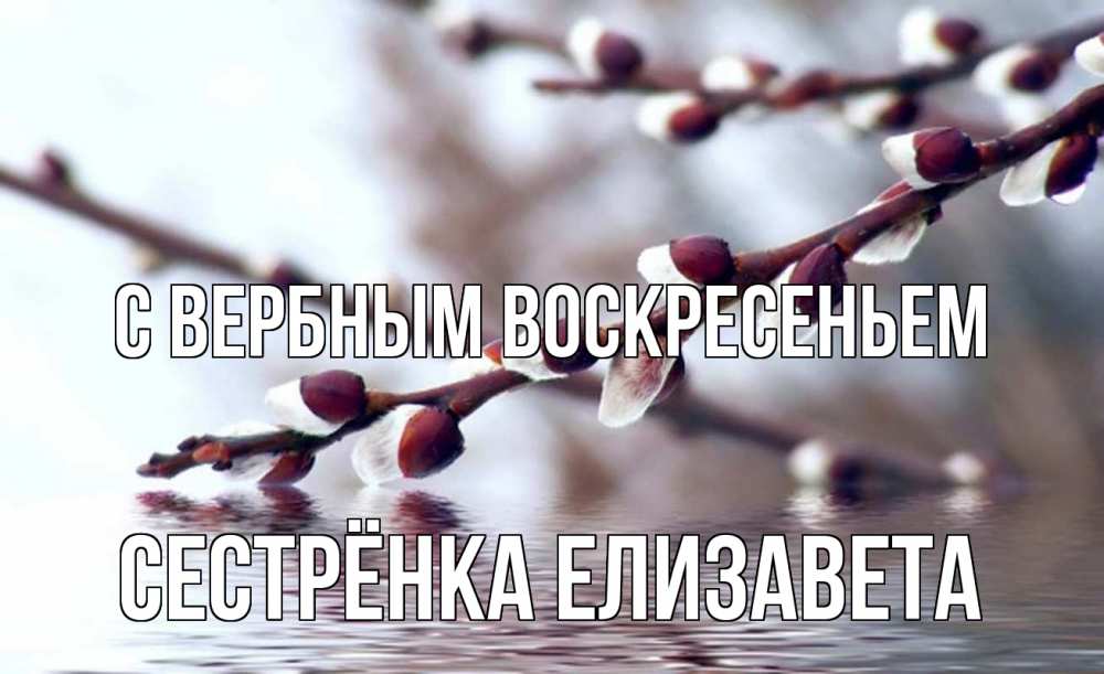 Открытка на каждый день с именем, Сестрёнка-Елизавета С вербным воскресеньем верба, ручей Прикольная открытка с пожеланием онлайн скачать бесплатно 