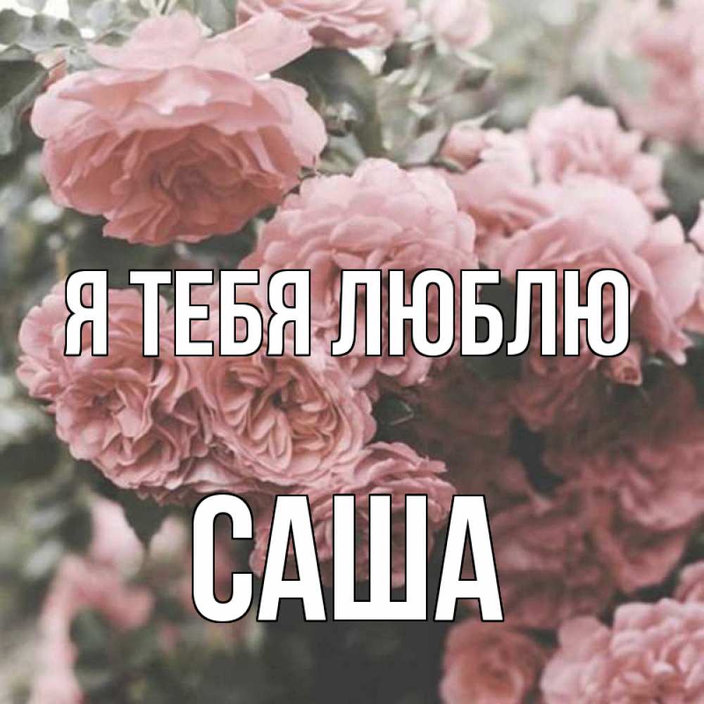 Картинка Я тебя люблю, саша