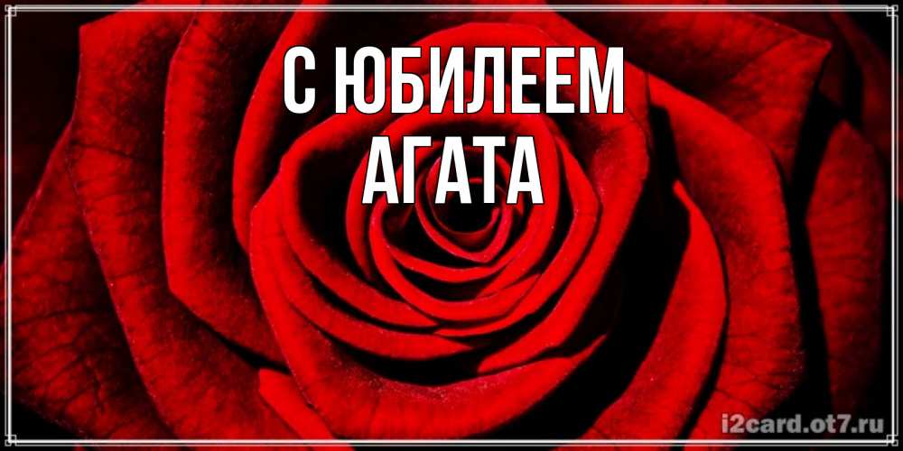 Открытка на каждый день с именем, Агата С юбилеем алая роза Прикольная открытка с пожеланием онлайн скачать бесплатно 