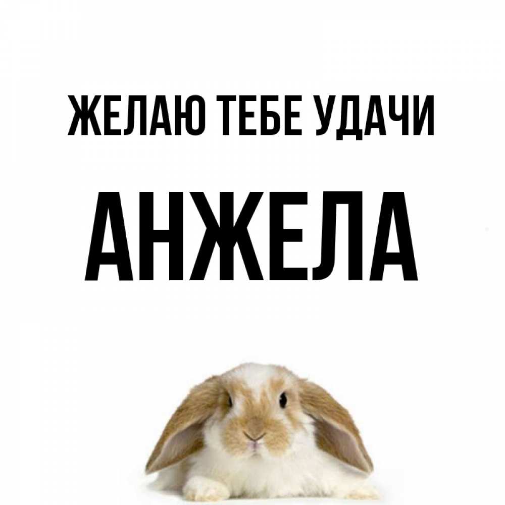 Днем милиции, именные картинки анжела