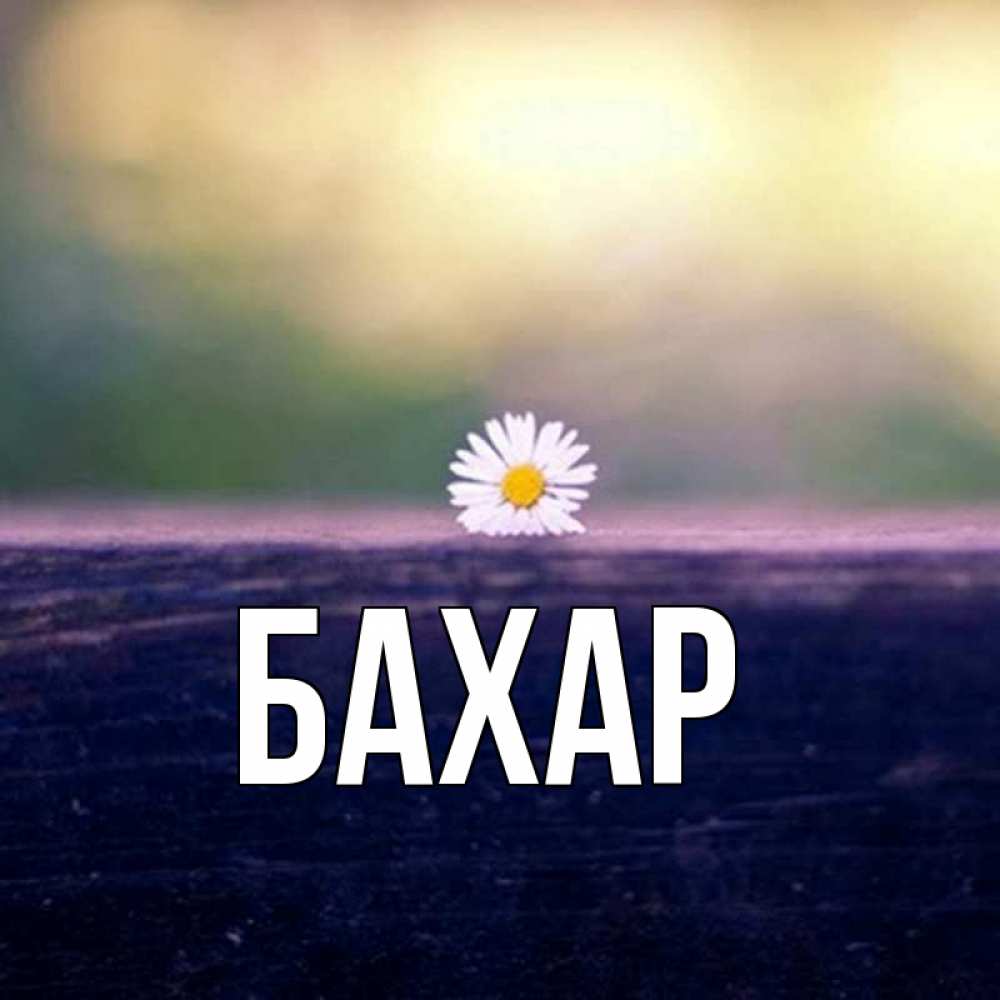 Картинка  с именем , Бахар