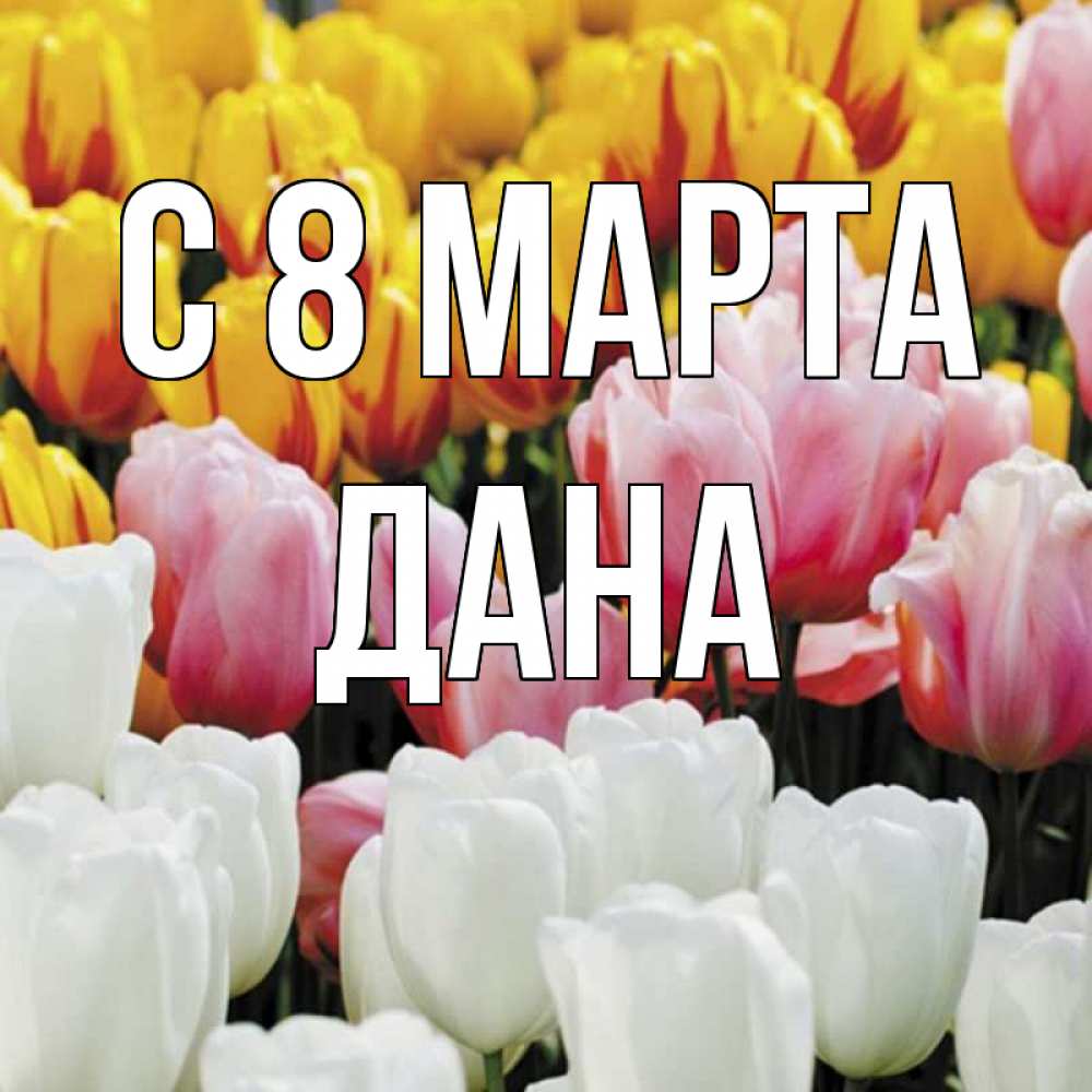 Открытка на каждый день с именем, Дана С 8 МАРТА разноцветные цветы Прикольная открытка с пожеланием онлайн скачать бесплатно 