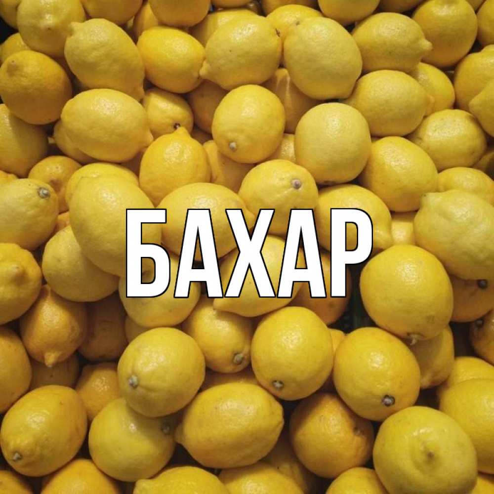 Открытка на каждый день с именем, Бахар Главная это точно поможет Прикольная открытка с пожеланием онлайн скачать бесплатно 