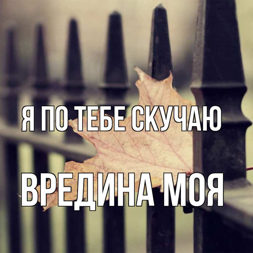 Картинка Я по тебе скучаю, Вредина моя