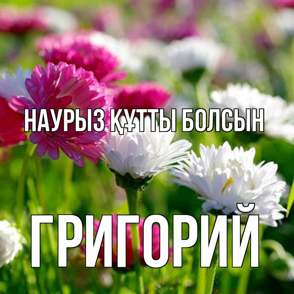 Открытка на каждый день с именем, Григорий Наурыз құтты болсын наурыз Прикольная открытка с пожеланием онлайн скачать бесплатно 