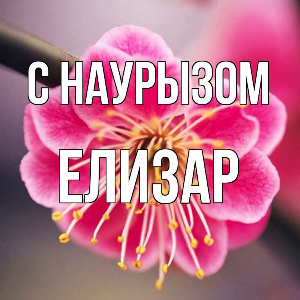 Открытка на каждый день с именем, Елизар С наурызом цветы Прикольная открытка с пожеланием онлайн скачать бесплатно 