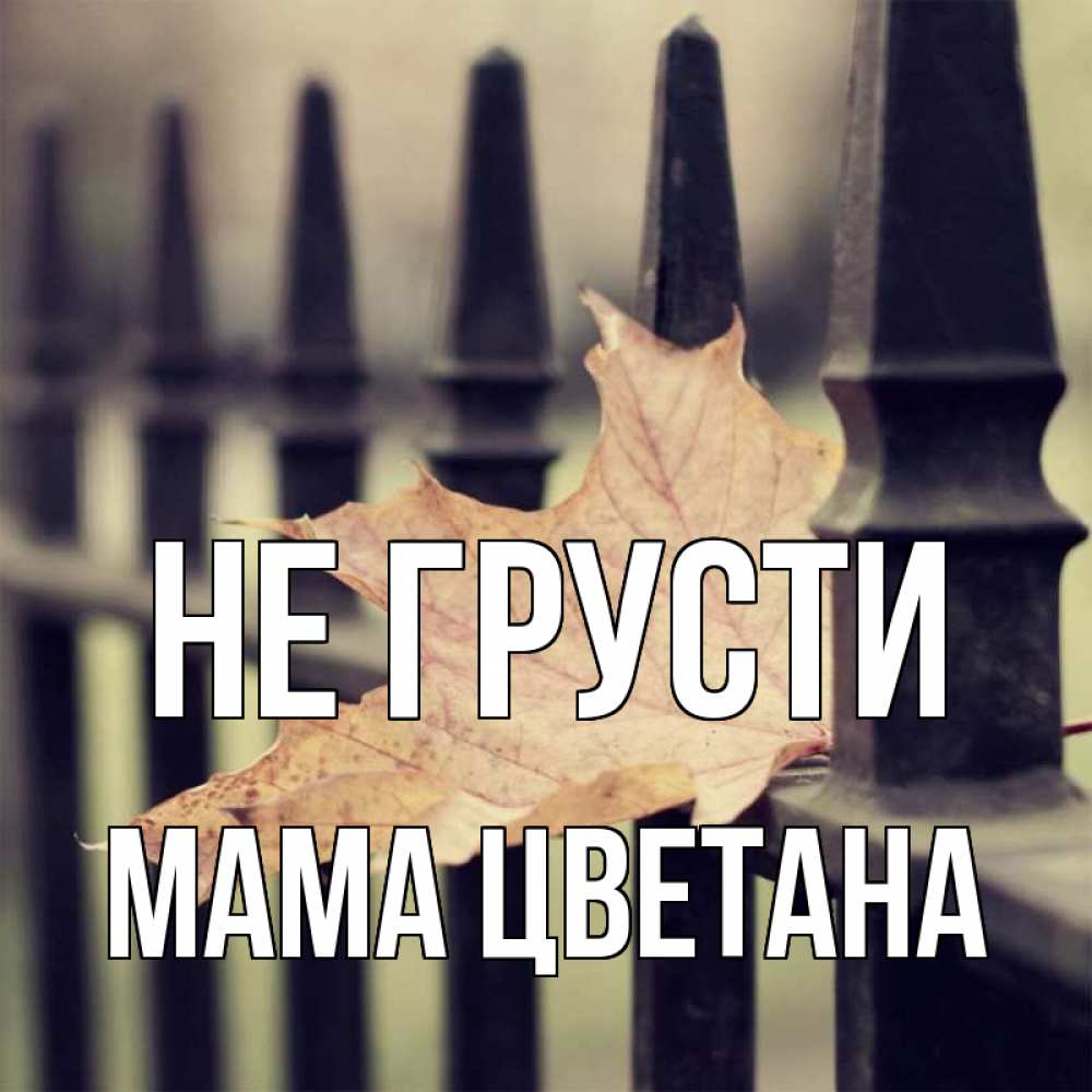 Открытка на каждый день с именем, Мама-Цветана Не грусти лист клена Прикольная открытка с пожеланием онлайн скачать бесплатно 